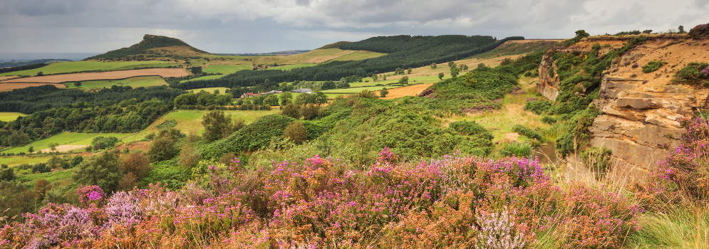 North York Moors National Park in Engeland