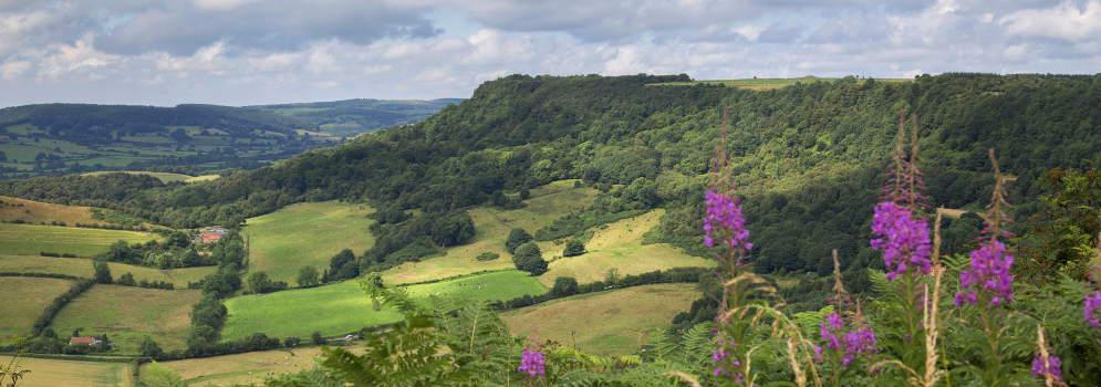 Sutton Bank in de North York Moors